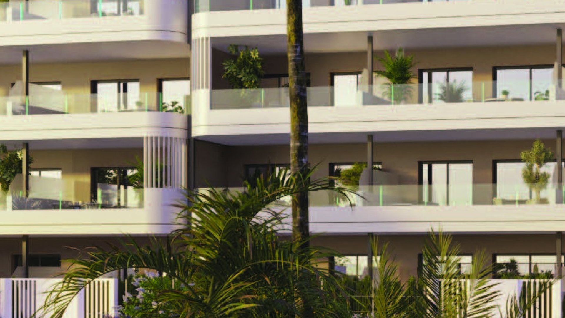 Nouvelle construction - Appartements -
Torrevieja