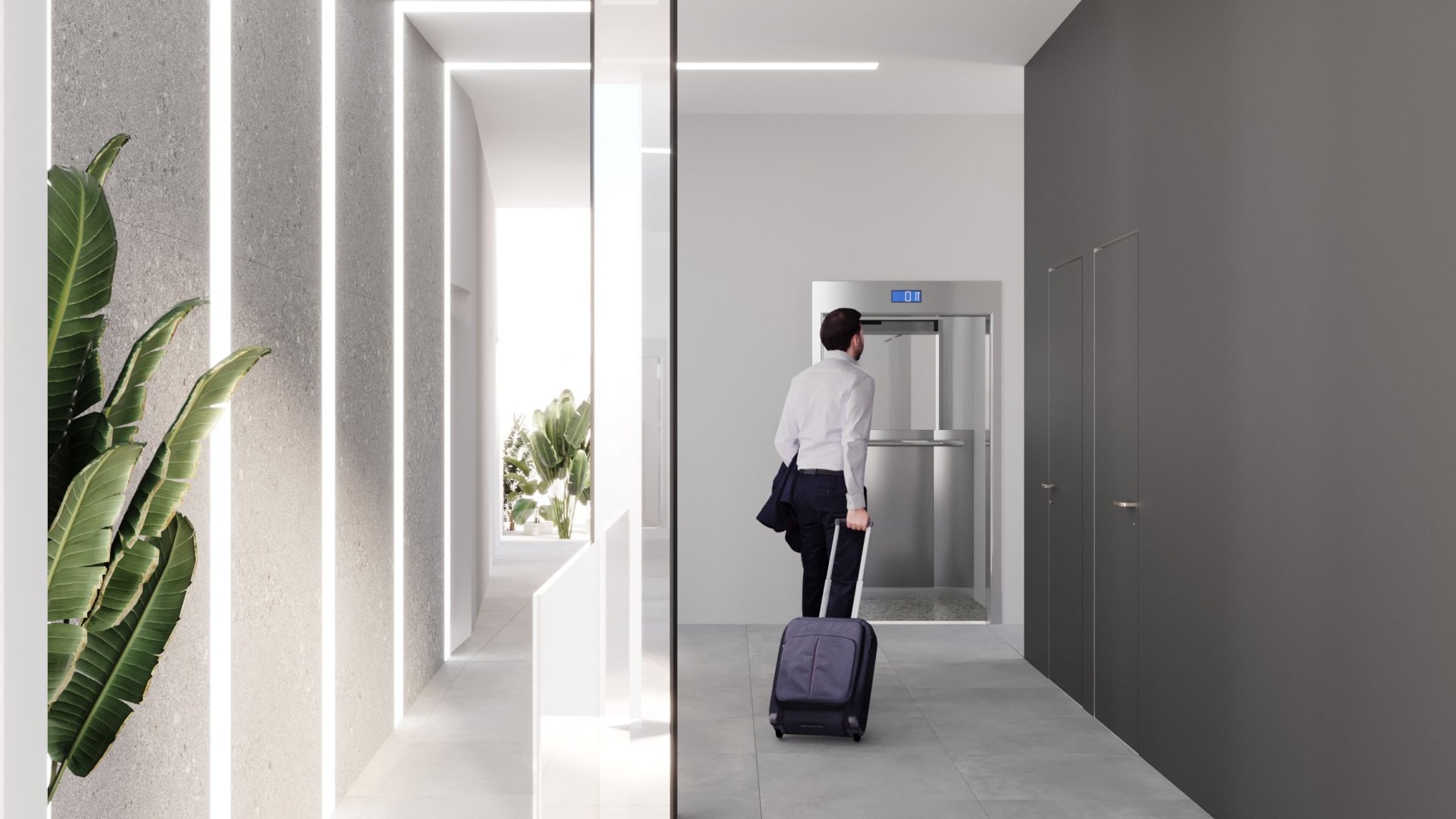 Nouvelle construction - Appartements -
Torrevieja