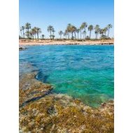 Nouvelle construction - Attique -
Punta Prima