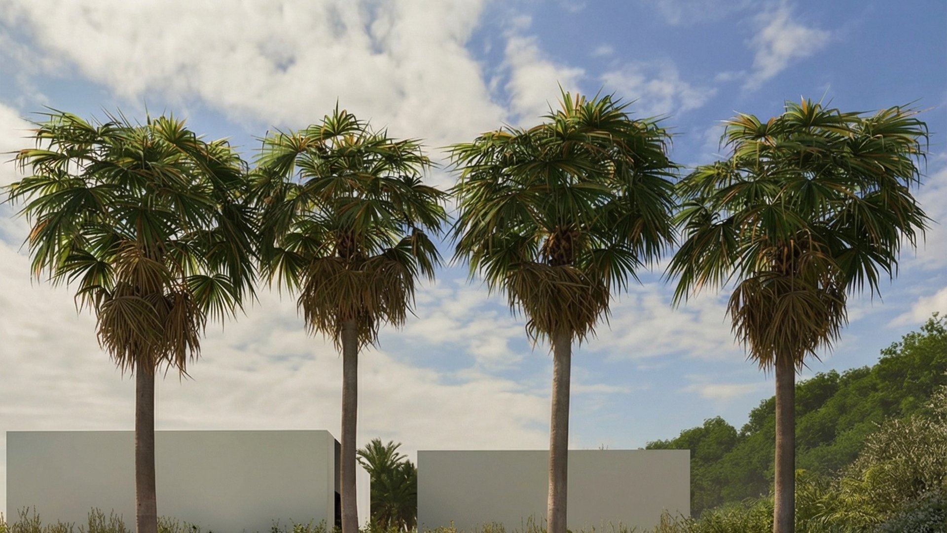 Nouvelle construction - Villa -
Alfas del Pí - Alfaz del Pi