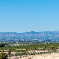 Nouvelle construction - Villa -
La Finca Golf