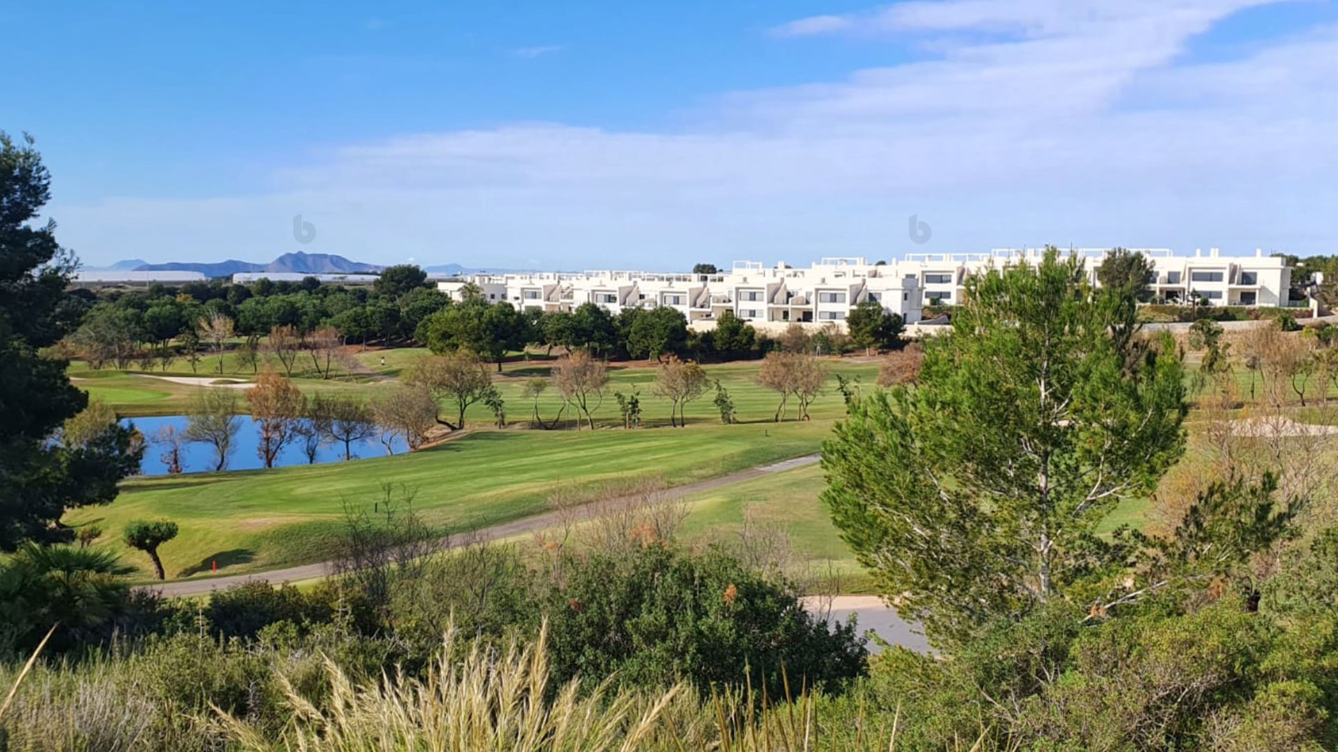 Nouvelle construction - Villa -
Pilar de la Horadada