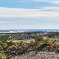 Nouvelle construction - Villa -
San Miguel de Salinas