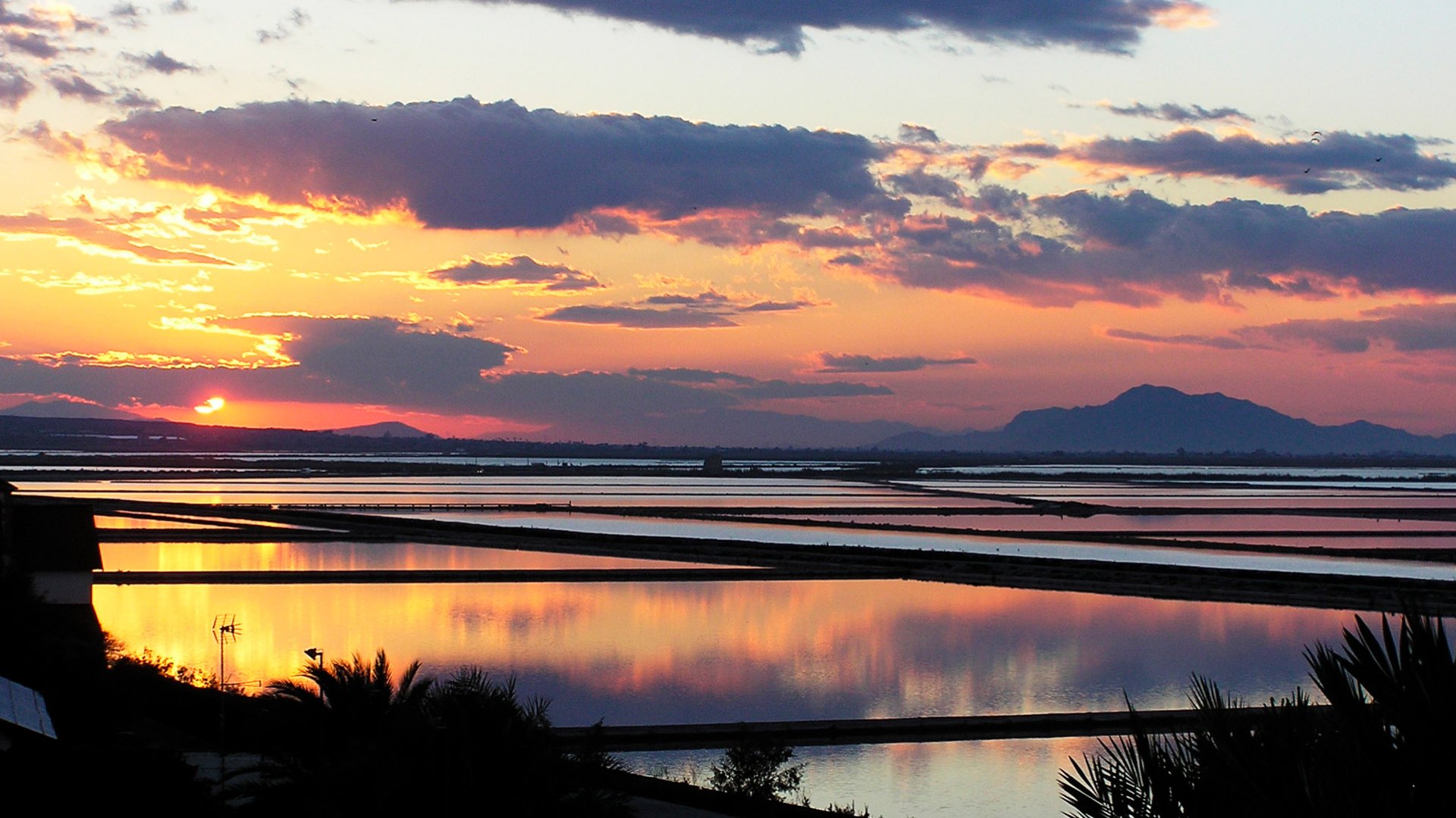 Obra nueva - Apartamentos -
Alicante (Alacant)