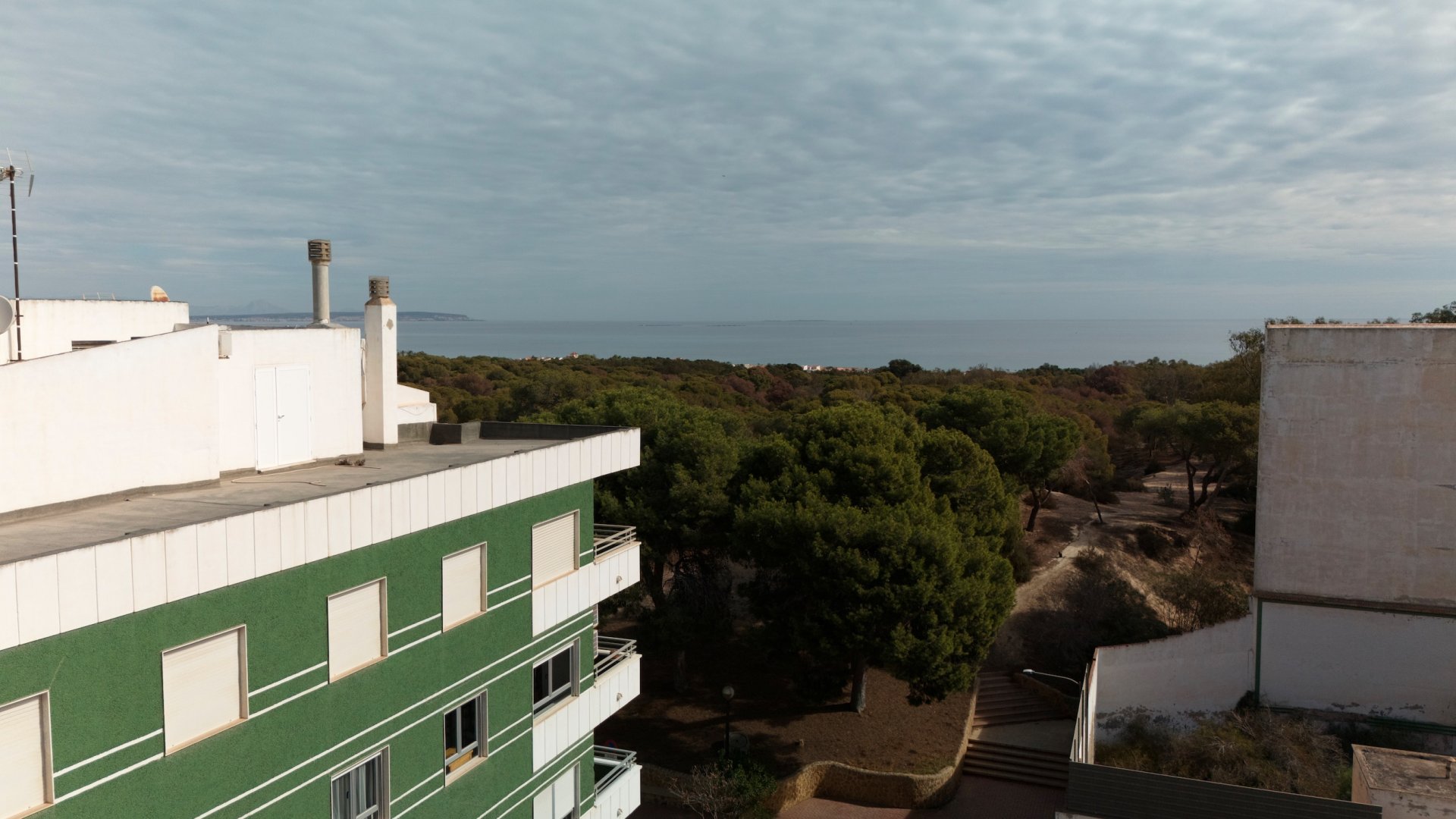 Obra nueva - Apartamentos -
Guardamar del Segura