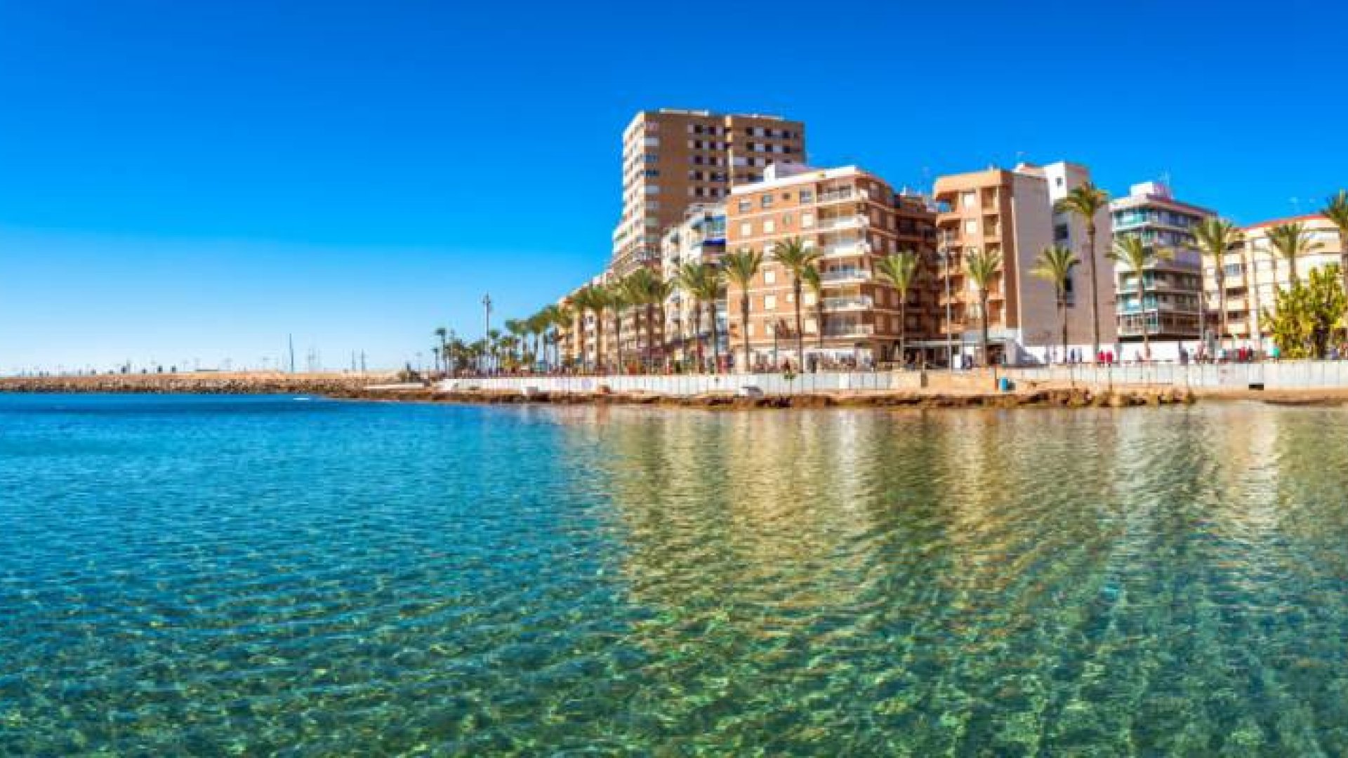 Obra nueva - Apartamentos -
La Finca Golf