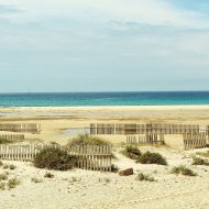 Obra nueva - Apartamentos -
La Manga del Mar Menor
