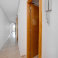 Obra nueva - Apartamentos -
San Fulgencio