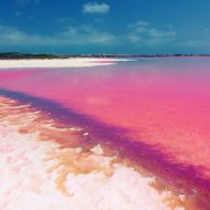 Obra nueva - Apartamentos -
Torrevieja