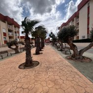 Obra nueva - Ático -
Orihuela Costa - Orihuela