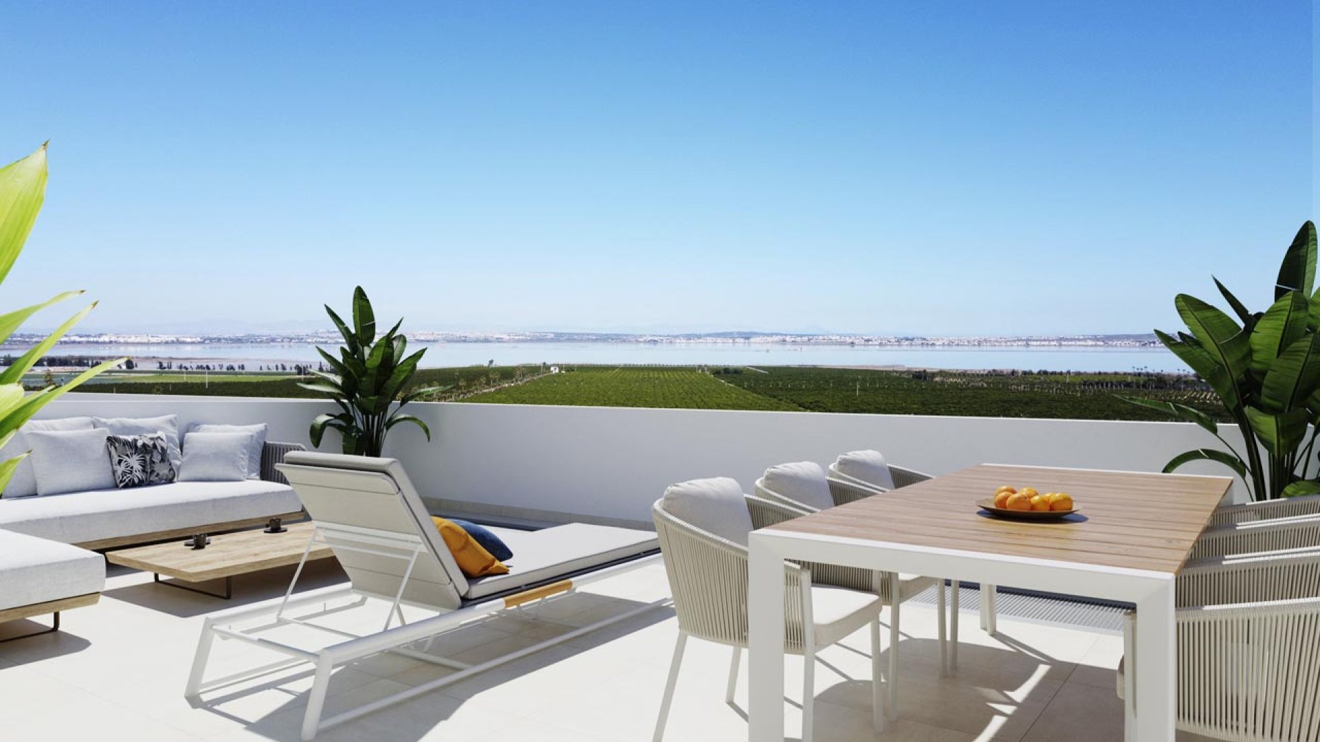 Obra nueva - Ático -
Torrevieja