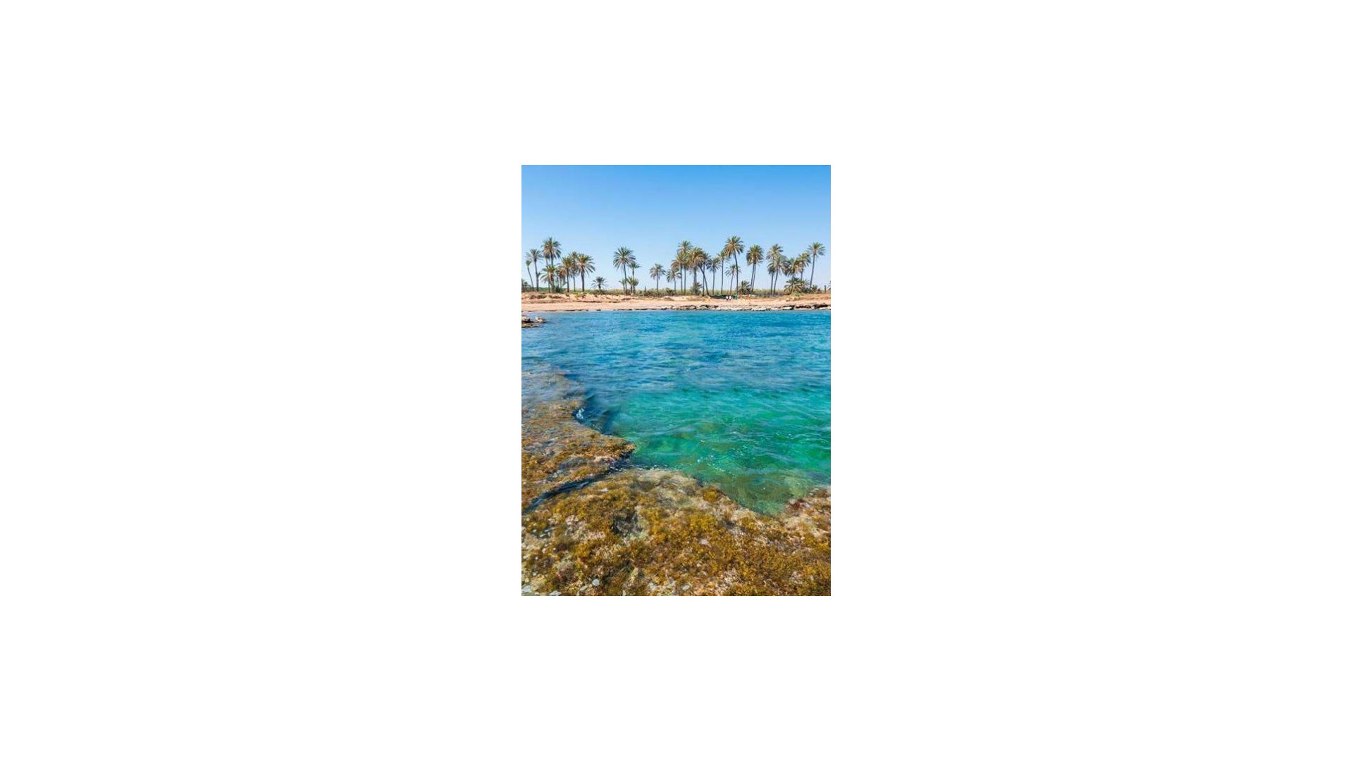 Obra nueva - Ático -
Torrevieja