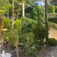 Obra nueva - Chalets -
Altea