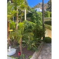 Obra nueva - Chalets -
Altea