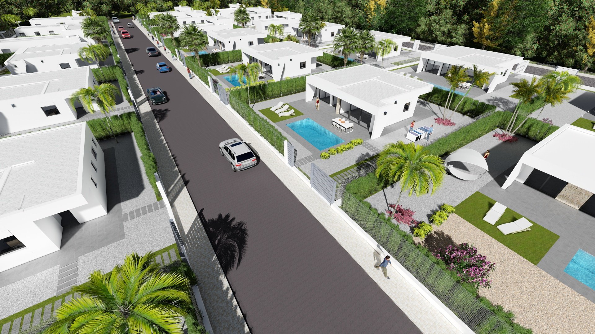 Obra nueva - Chalets -
Calasparra