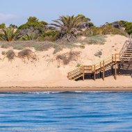 Obra nueva - Chalets -
Daya Nueva