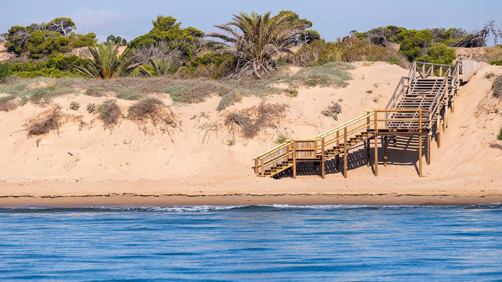 Obra nueva - Chalets -
Daya Nueva