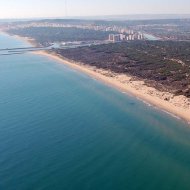 Obra nueva - Chalets -
Daya Nueva