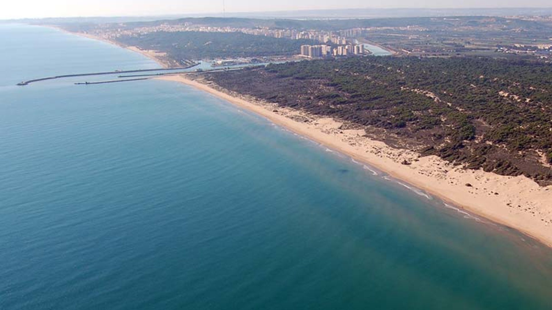 Obra nueva - Chalets -
Daya Nueva