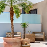 Obra nueva - Chalets -
Dolores