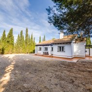 Obra nueva - Chalets -
Fuente Alamo