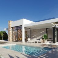 Obra nueva - Chalets -
Hacienda del Alamo Golf