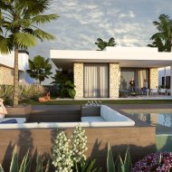 Obra nueva - Chalets -
La Finca Golf
