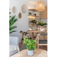 Obra nueva - Chalets -
Los Alcazares - Los Alcázares