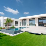 Obra nueva - Chalets -
Molina de Segura