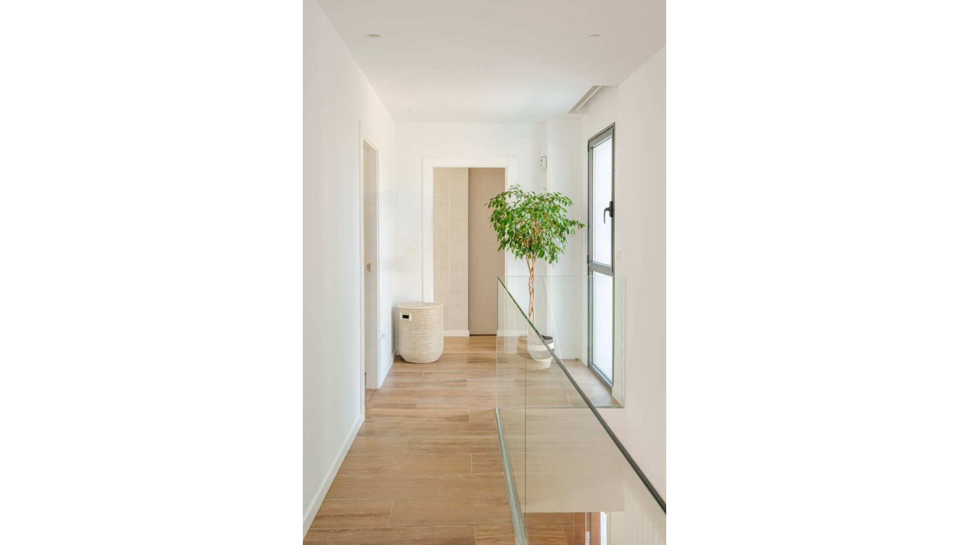 Obra nueva - Chalets -
Molina de Segura