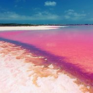 Obra nueva - Chalets -
Orihuela Costa - Orihuela