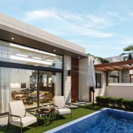 Obra nueva - Chalets -
Pilar de la Horadada