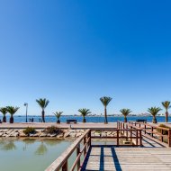 Obra nueva - Chalets -
Pilar de la Horadada
