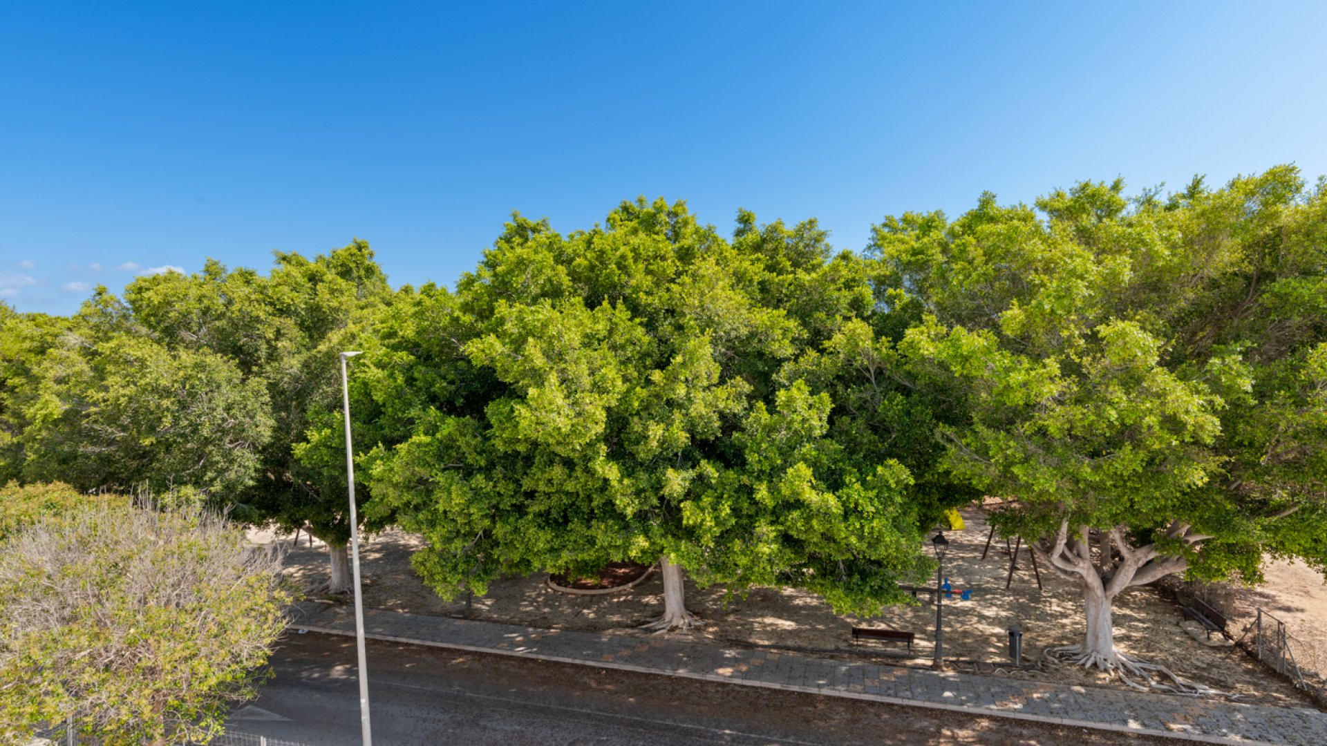 Obra nueva - Chalets -
Pilar de la Horadada