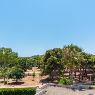 Obra nueva - Chalets -
Playa Paraiso