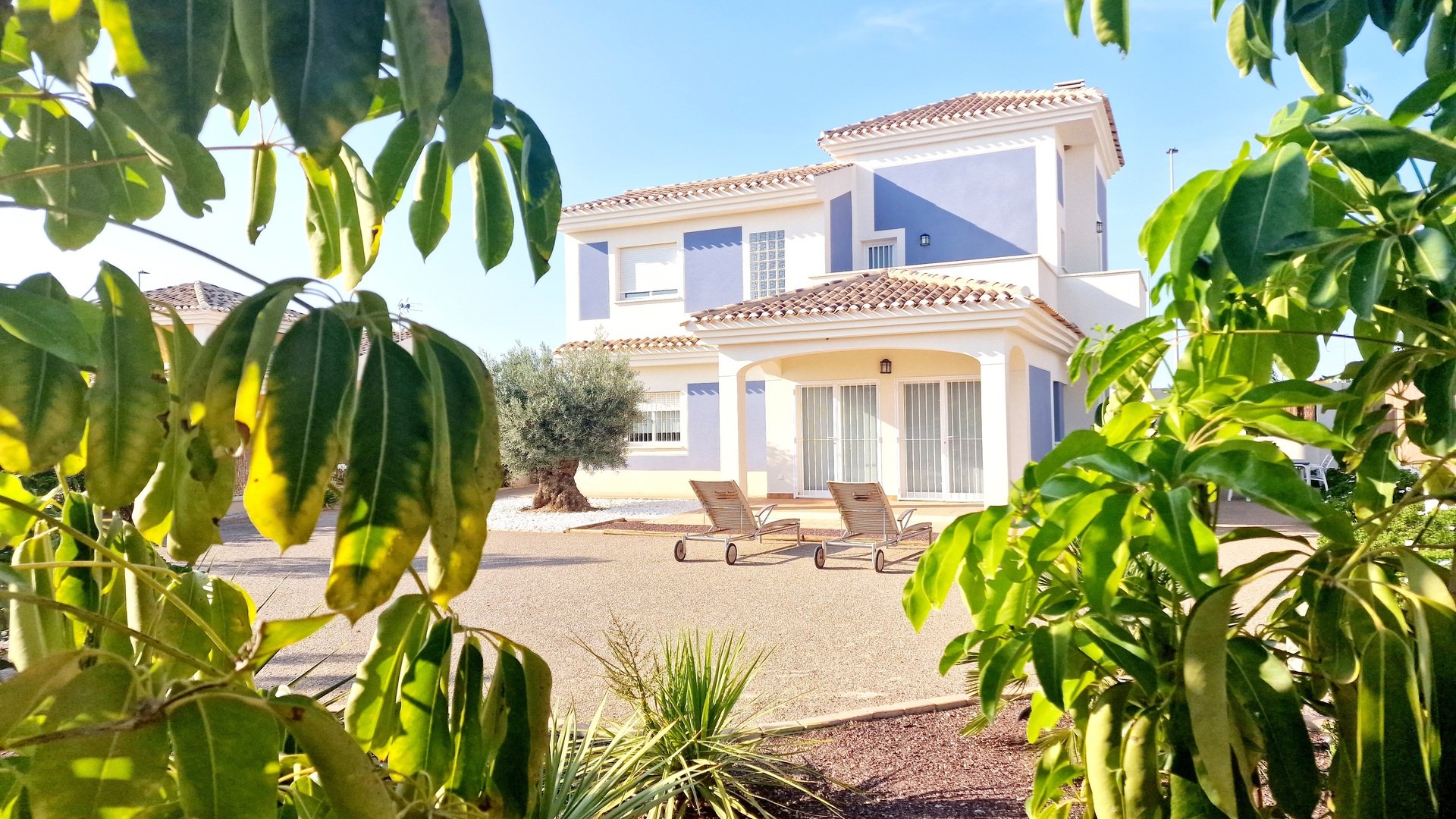 Obra nueva - Chalets -
Purias
