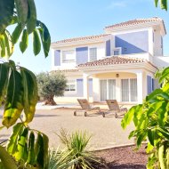 Obra nueva - Chalets -
Purias