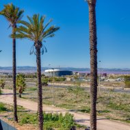 Obra nueva - Chalets -
Torrevieja