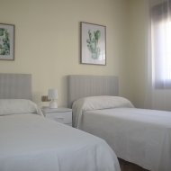 Obra nueva - Chalets -
Torrevieja