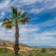 Resale - Apartments -
Algorfa - LA FINCA GOLF / ALGORFA