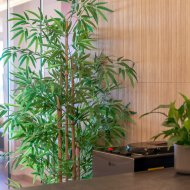 Resale - Apartments -
Altea