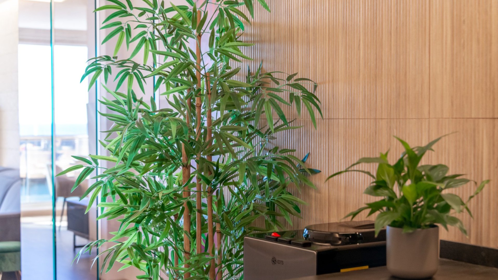 Resale - Apartments -
Altea