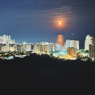 Resale - Apartments -
Benidorm - Playa Poniente