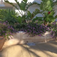Resale - Apartments -
Benissa - Parques Casablanca