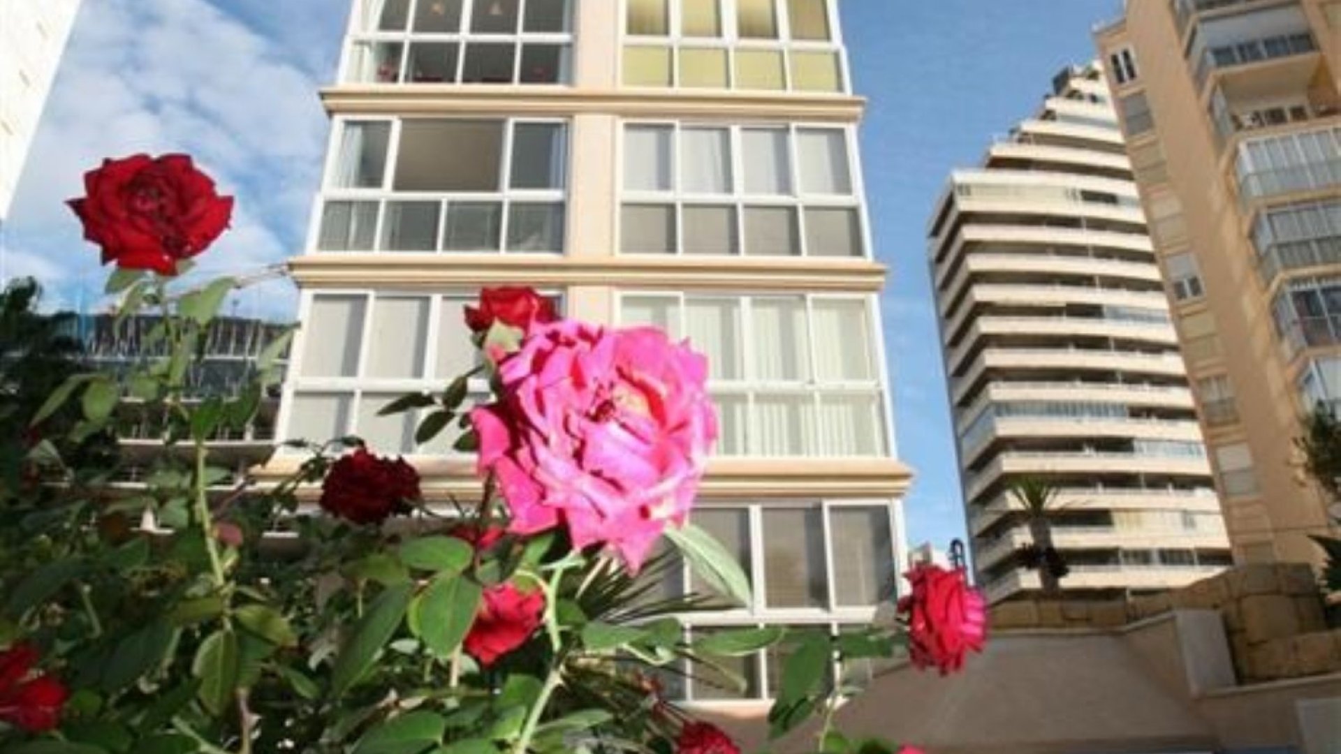 Resale - Apartments -
Calpe - Playa De Arenal