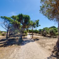 Resale - Apartments -
Guardamar del Segura - Pinomar