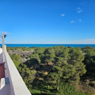 Resale - Apartments -
Guardamar del Segura