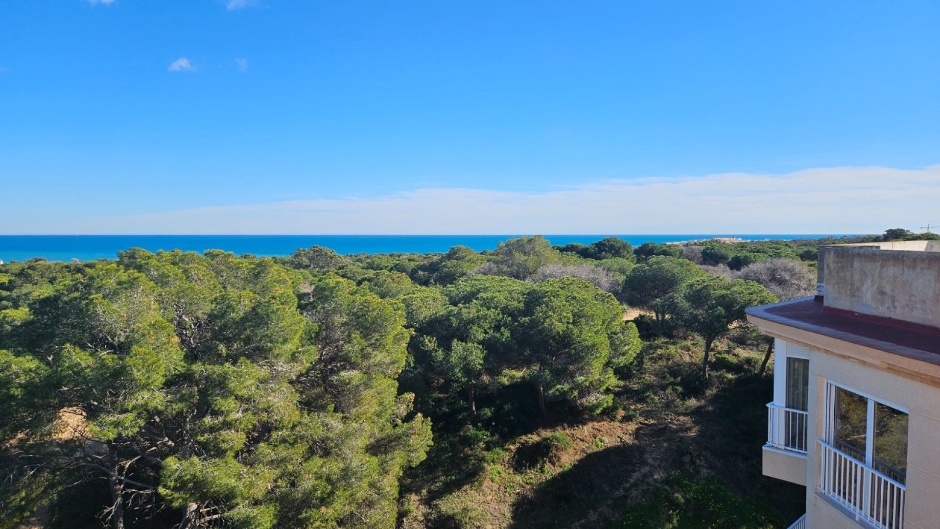 Resale - Apartments -
Guardamar del Segura