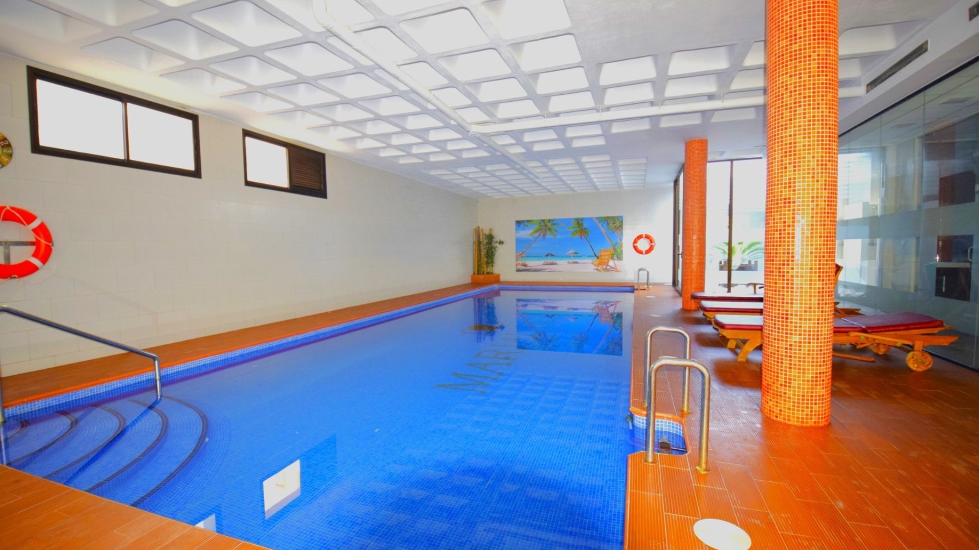 Resale - Apartments -
Guardamar del Segura