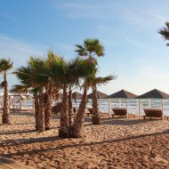 Resale - Apartments -
Guardamar del Segura